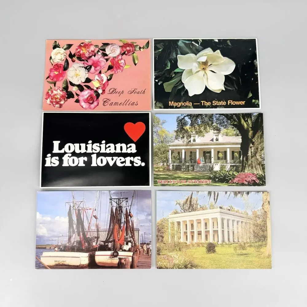 6 Unused Blank Louisiana Vintage Postcards Lot 5 Camellia Magnolia Shrimp Boats